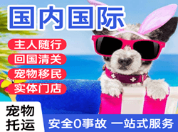乌海航空托运国际宠物托运 【国